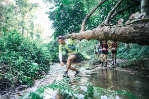 BIB: 
                            <button type="button" onclick="openModal(25441836)" class="btn btn-primary btn-sm float-right btn-popup" data-toggle="modal" data-target=".modal-high-quality">
                        <i class="fas fa-shopping-cart"></i> Add to Cart
                    </button>
                                            <button type="button" onclick="isThisMe(25441836, true)" class="btn btn-success btn-sm float-right btn-popup btn-isme hidden" data-toggle="tooltip" data-placement="bottom" title="นี่คือรูปของคุณใช่ไหม คลิกที่นี่เพื่อเอาเข้าอัลบั้ม">
                        <i class="fas fa-plus"></i> Add to album
                    </button>
                    <button type="button" onclick="isThisMe(25441836, false)" class="btn btn-warning btn-sm float-right btn-popup btn-isnotme hidden">
                        <i class="fas fa-ban"></i> Remove from album
                    </button>